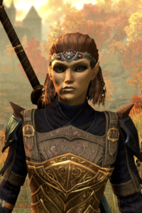 Screenshot of Gyllerah from the login screen of ESO. She is an Altmer with auburn hair in short braids and hazel eyes, and she is wearing the Wolfcrown of Solitude, blue and gold armor, and a greatsword on her back.